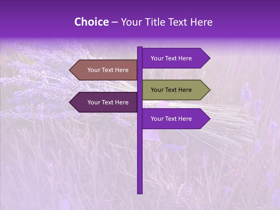 Lavendar Fragrant Agriculture PowerPoint Template