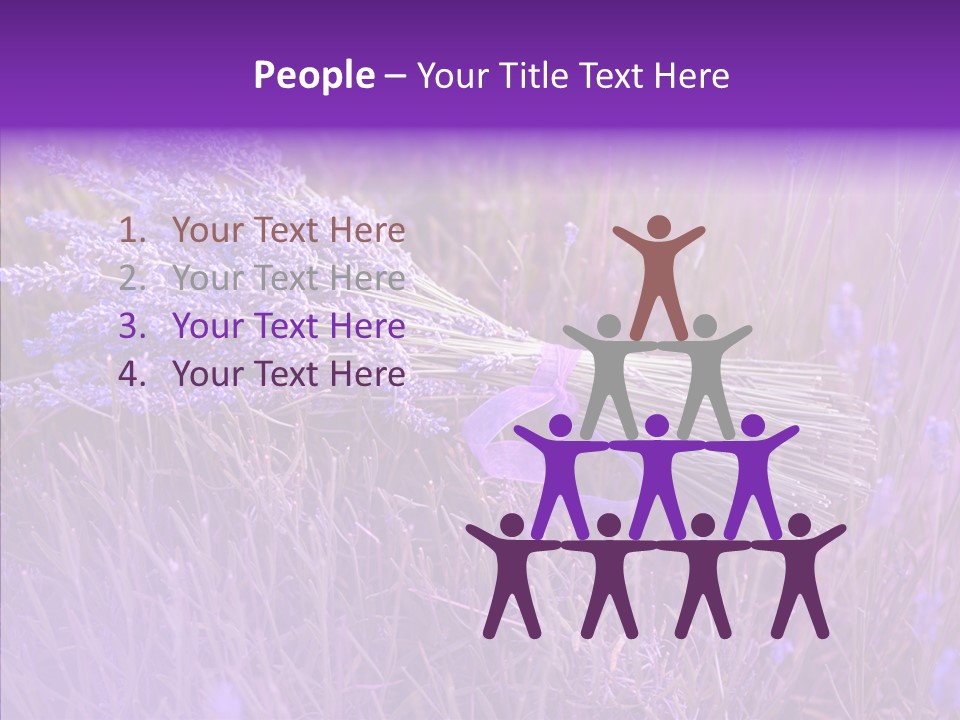 Lavendar Fragrant Agriculture PowerPoint Template