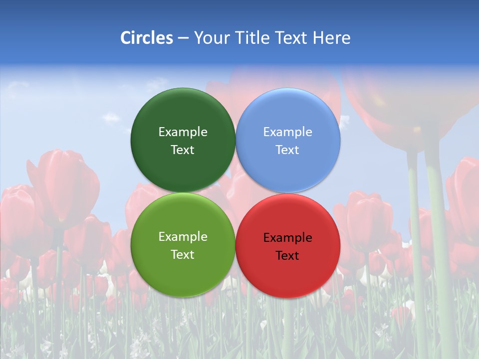 Blue Spring Flower PowerPoint Template
