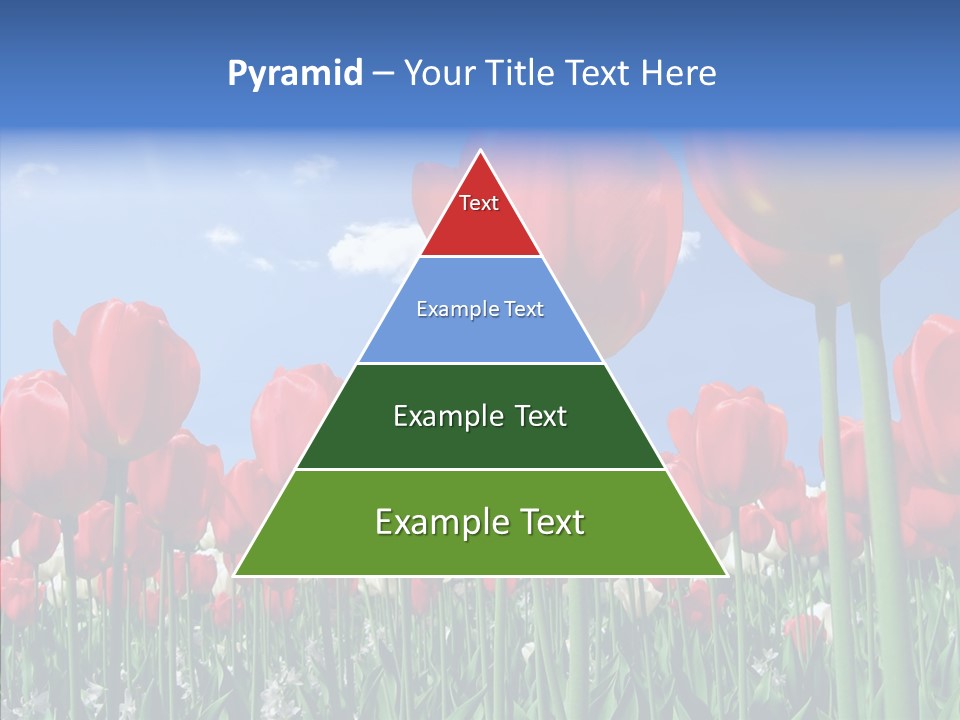 Blue Spring Flower PowerPoint Template