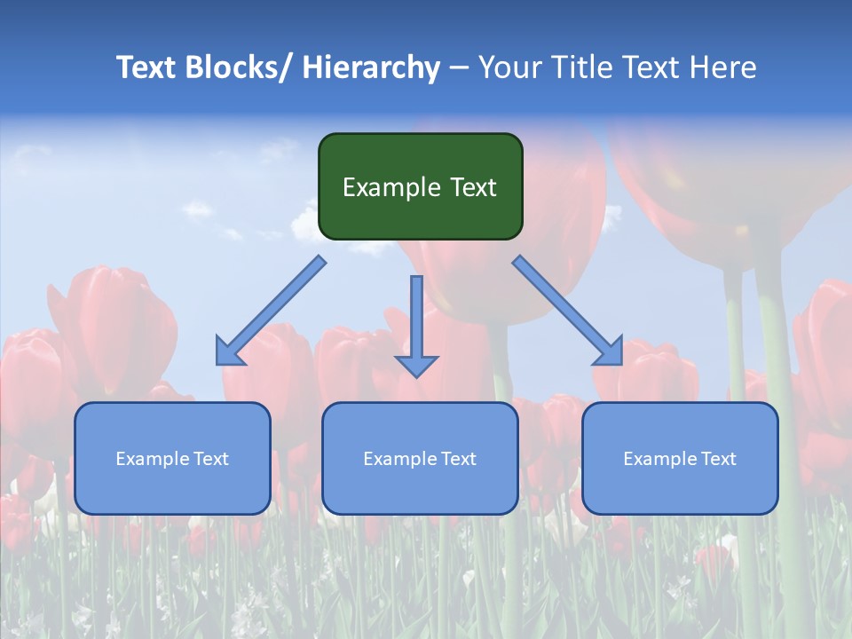 Blue Spring Flower PowerPoint Template
