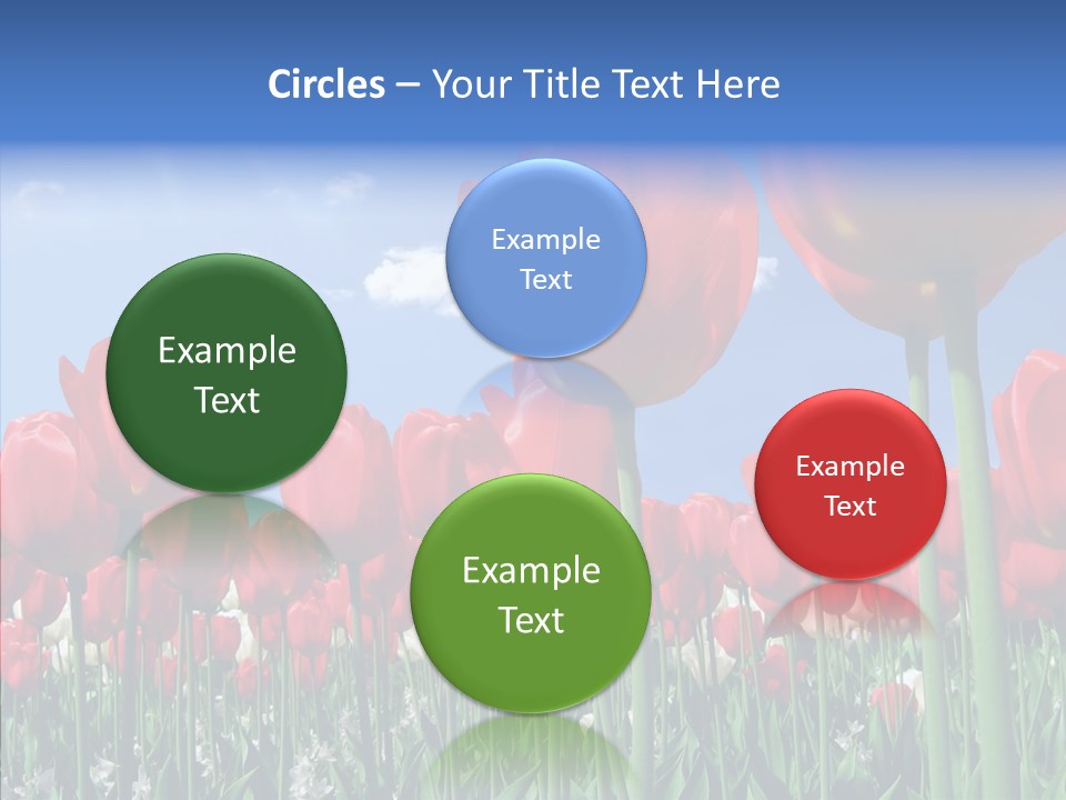 Blue Spring Flower PowerPoint Template