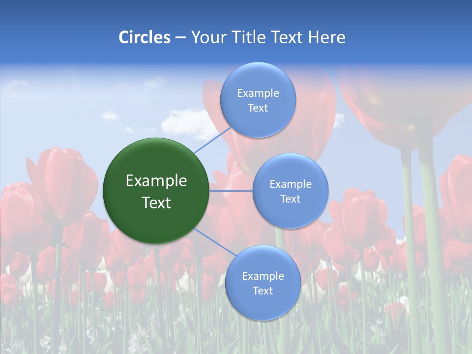 Blue Spring Flower PowerPoint Template