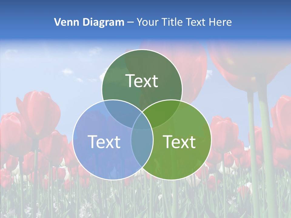 Blue Spring Flower PowerPoint Template