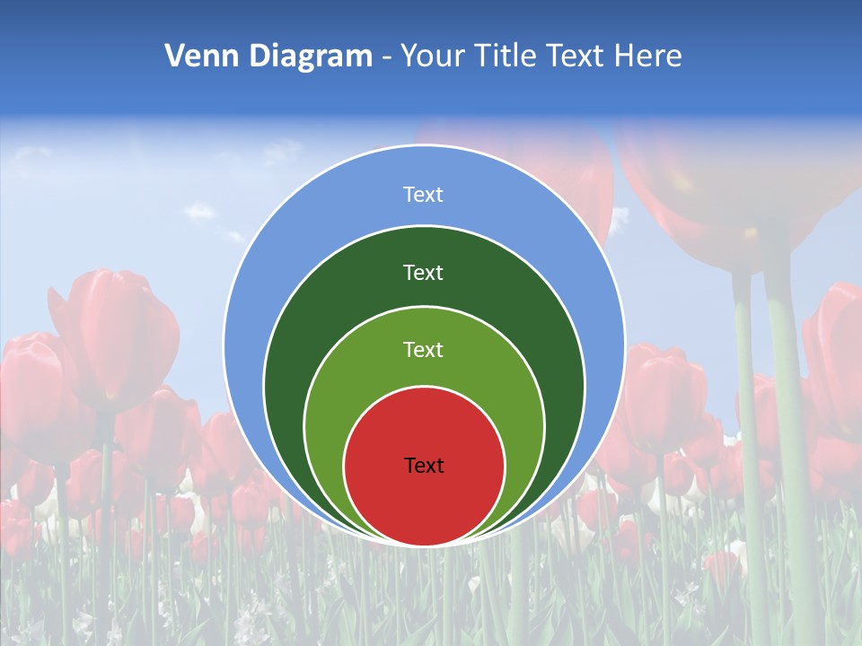 Blue Spring Flower PowerPoint Template