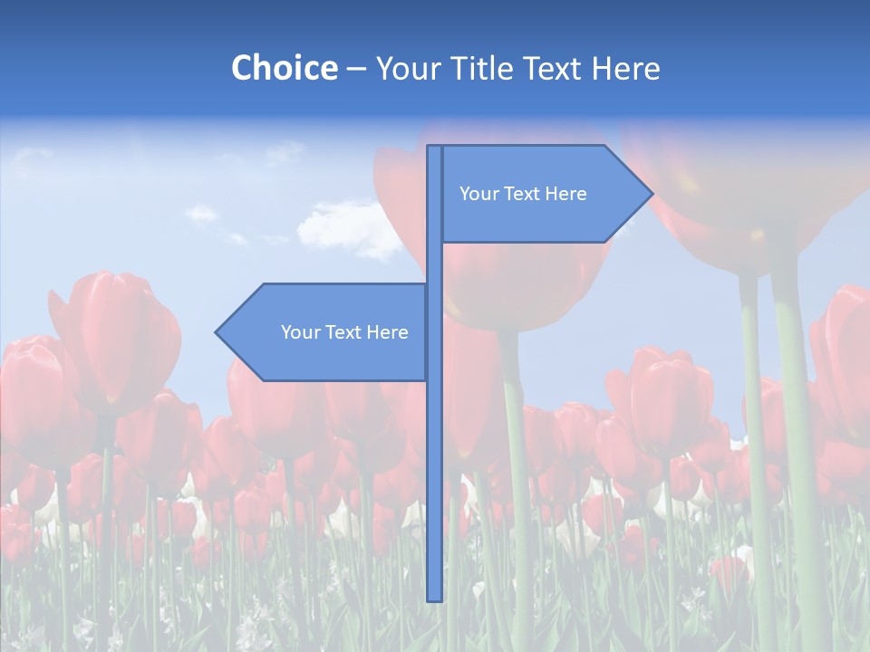 Blue Spring Flower PowerPoint Template