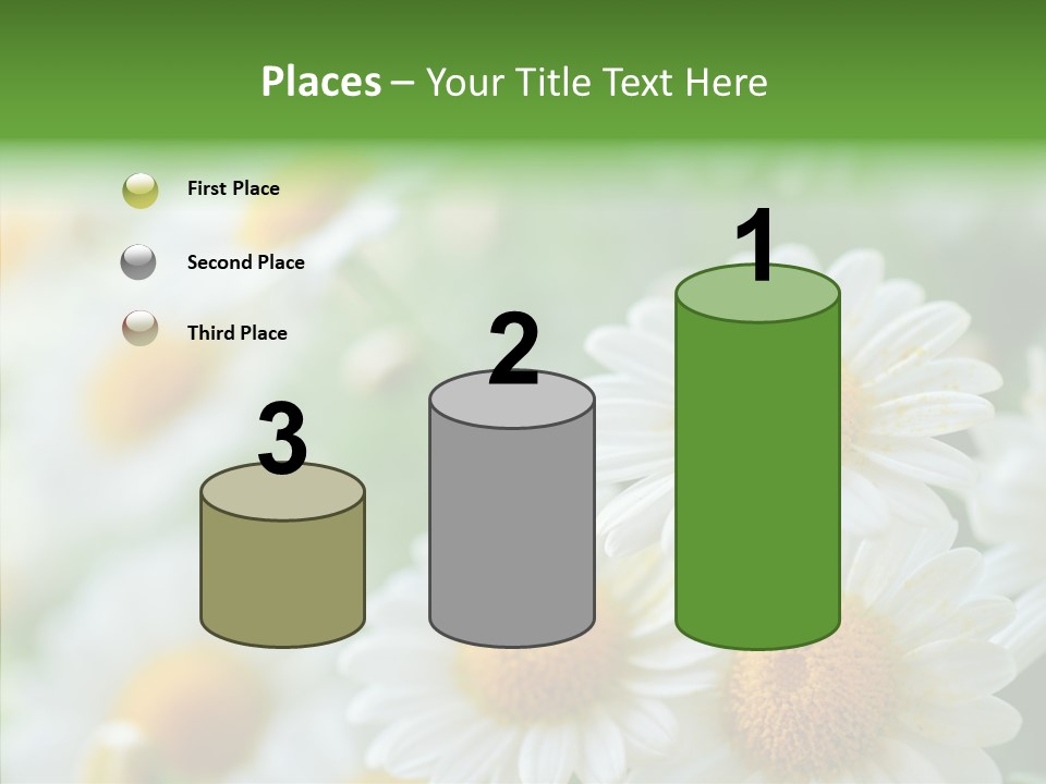 Wild Camomile Meadow PowerPoint Template