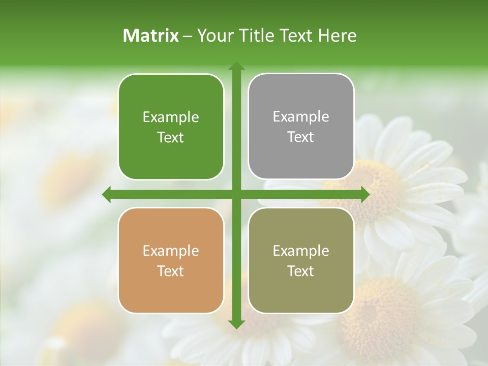 Wild Camomile Meadow PowerPoint Template