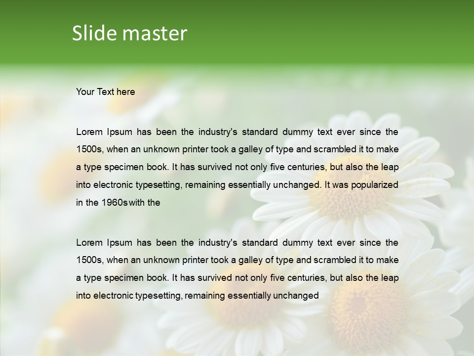 Wild Camomile Meadow PowerPoint Template