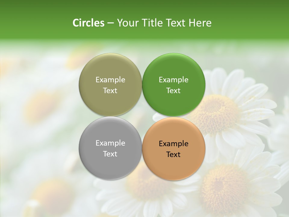 Wild Camomile Meadow PowerPoint Template