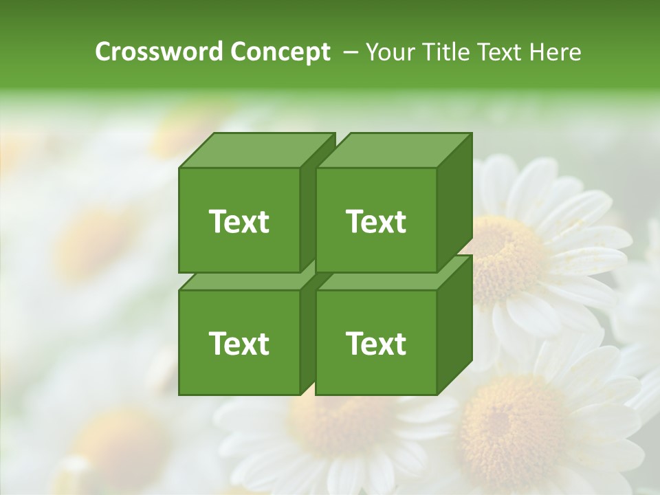 Wild Camomile Meadow PowerPoint Template