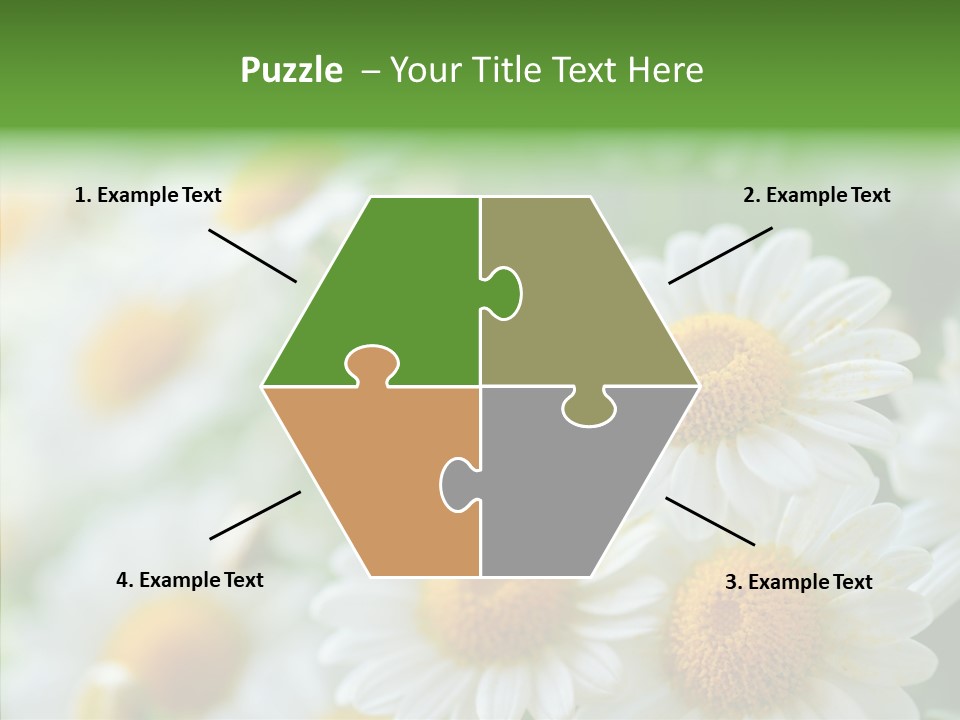 Wild Camomile Meadow PowerPoint Template