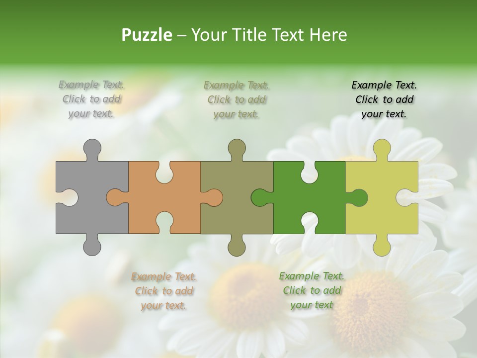 Wild Camomile Meadow PowerPoint Template