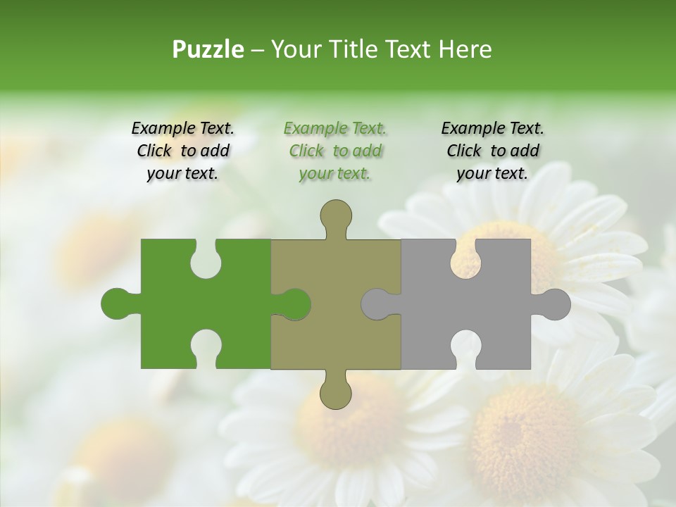 Wild Camomile Meadow PowerPoint Template