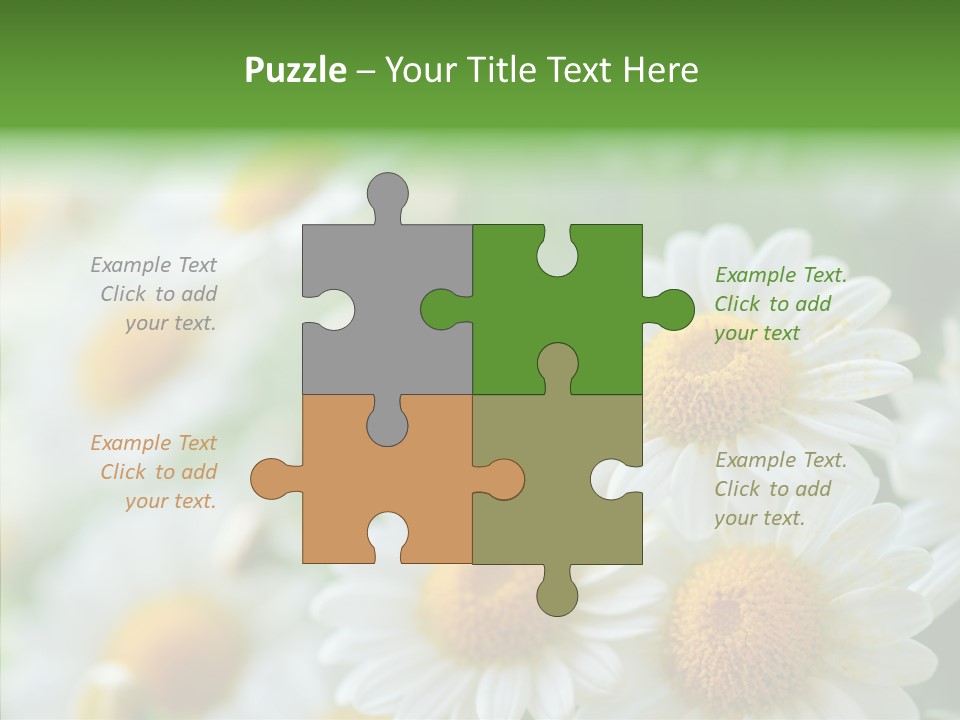 Wild Camomile Meadow PowerPoint Template