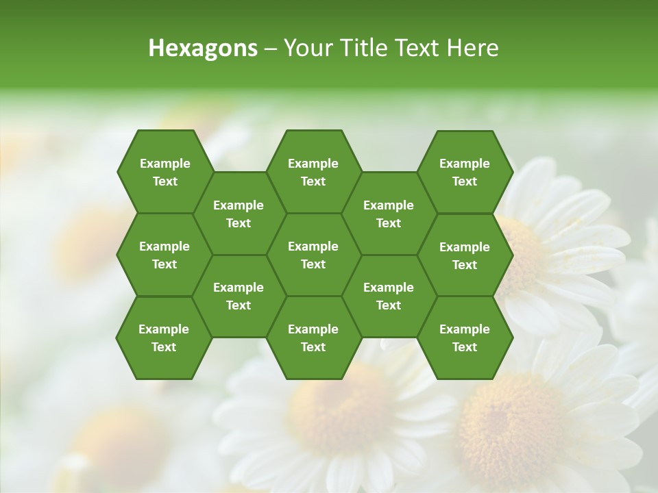 Wild Camomile Meadow PowerPoint Template