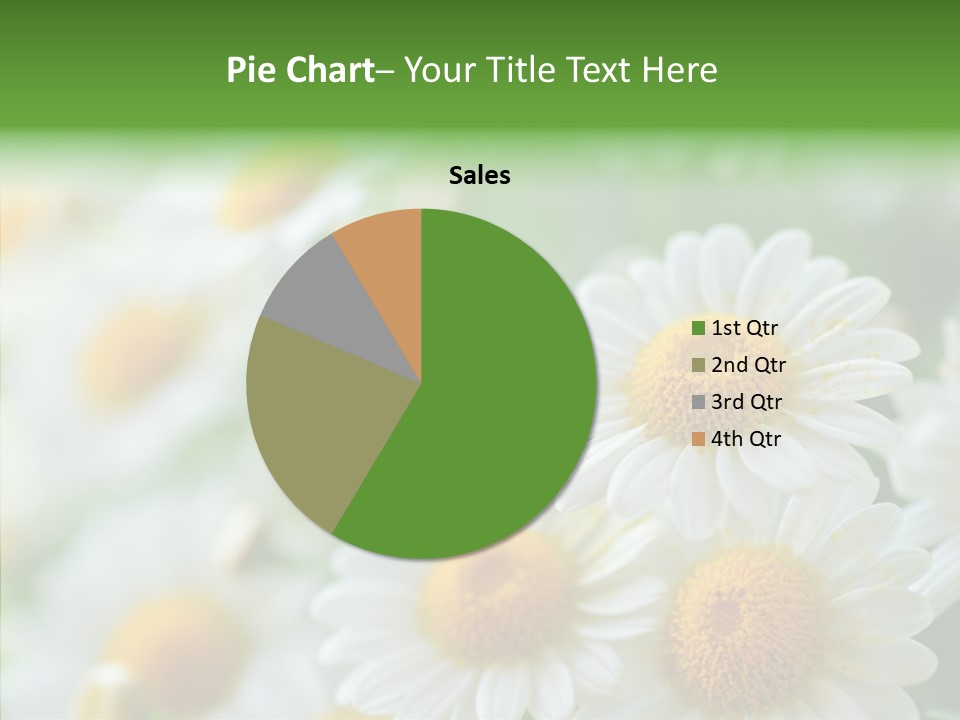 Wild Camomile Meadow PowerPoint Template