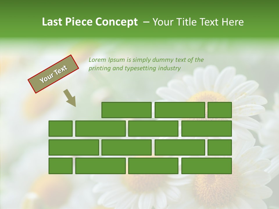 Wild Camomile Meadow PowerPoint Template