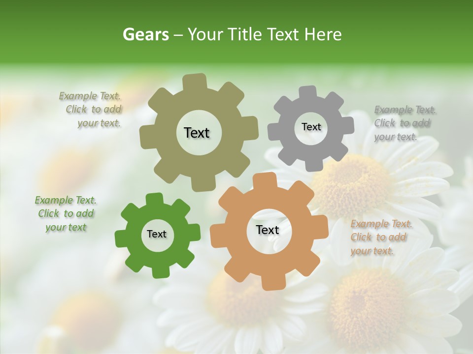 Wild Camomile Meadow PowerPoint Template