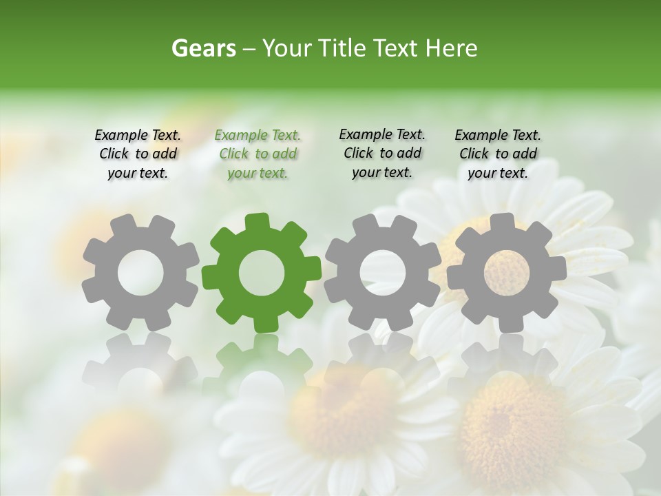Wild Camomile Meadow PowerPoint Template