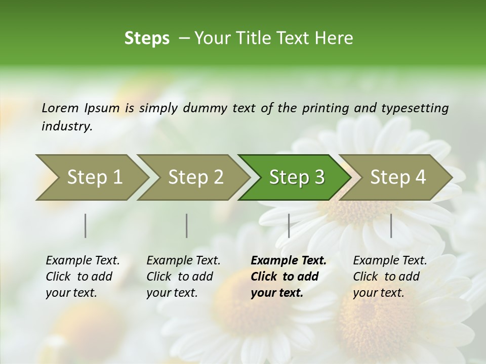 Wild Camomile Meadow PowerPoint Template