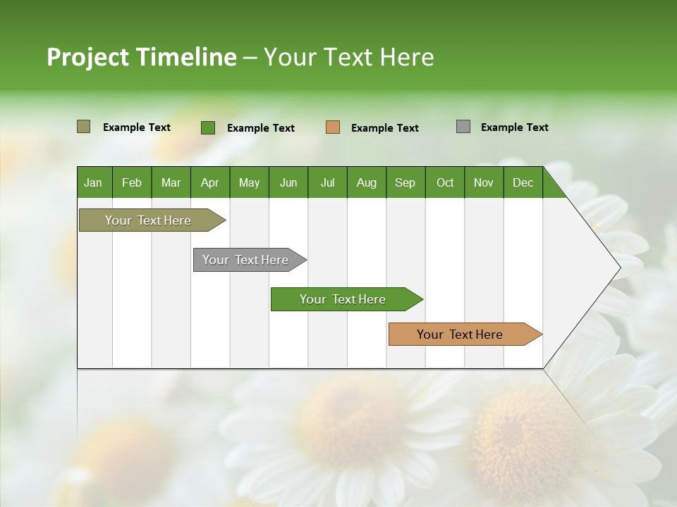 Wild Camomile Meadow PowerPoint Template