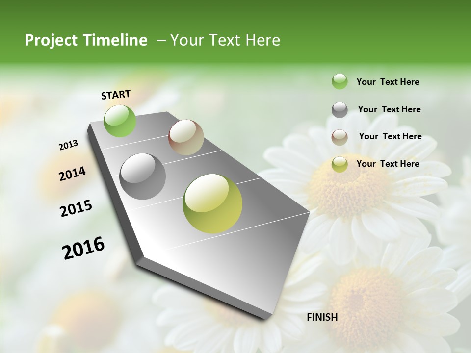 Wild Camomile Meadow PowerPoint Template