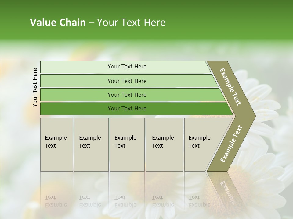 Wild Camomile Meadow PowerPoint Template