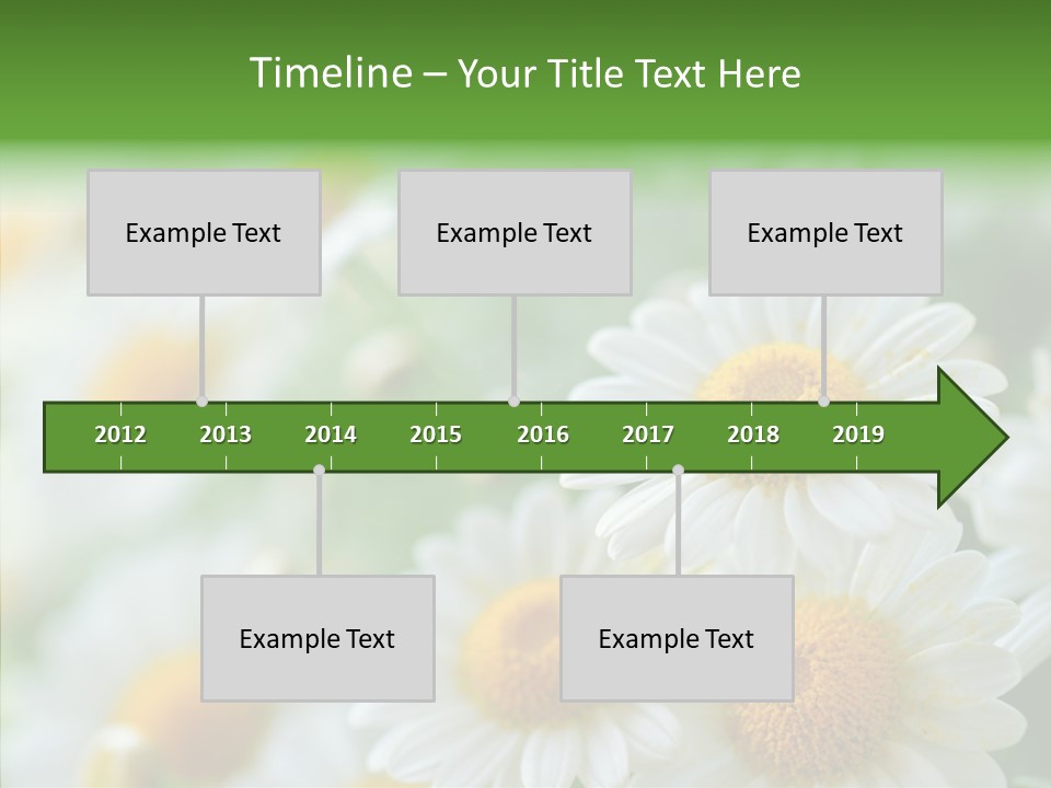 Wild Camomile Meadow PowerPoint Template