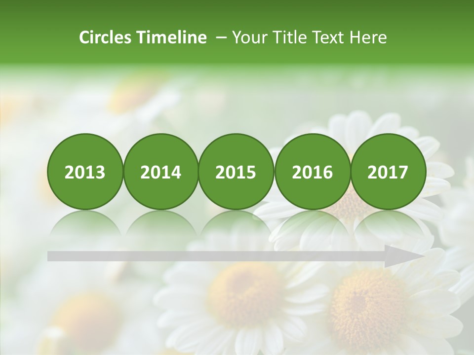 Wild Camomile Meadow PowerPoint Template