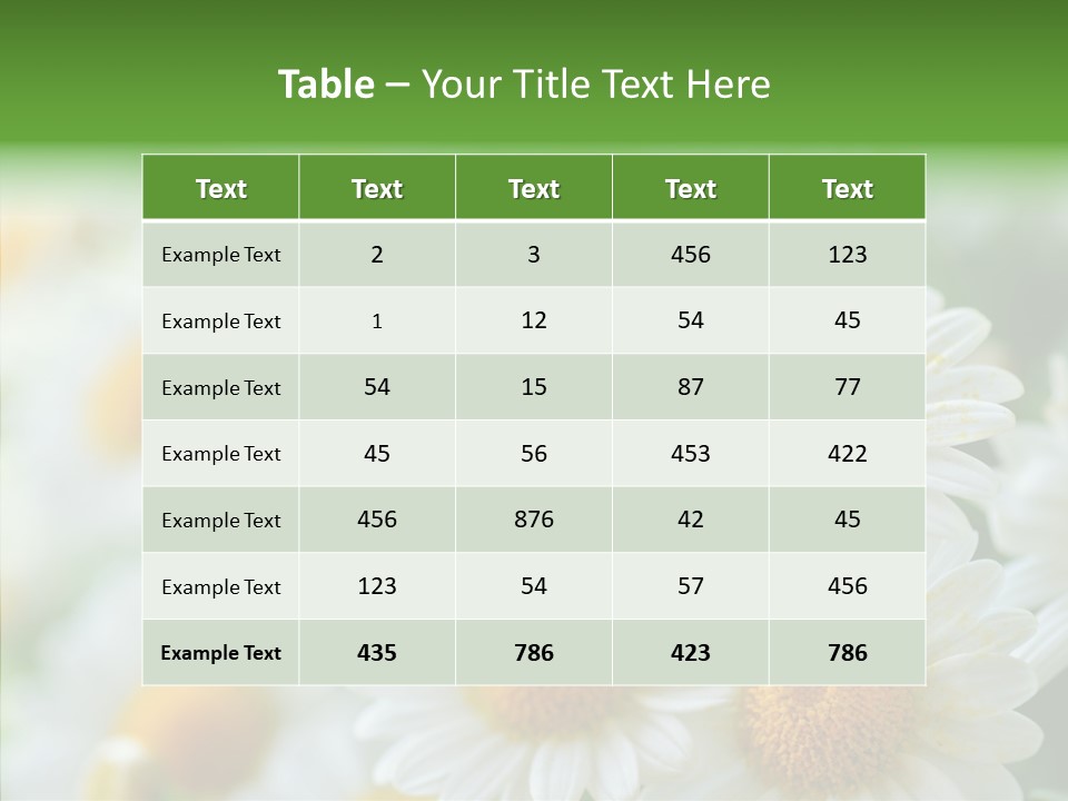 Wild Camomile Meadow PowerPoint Template