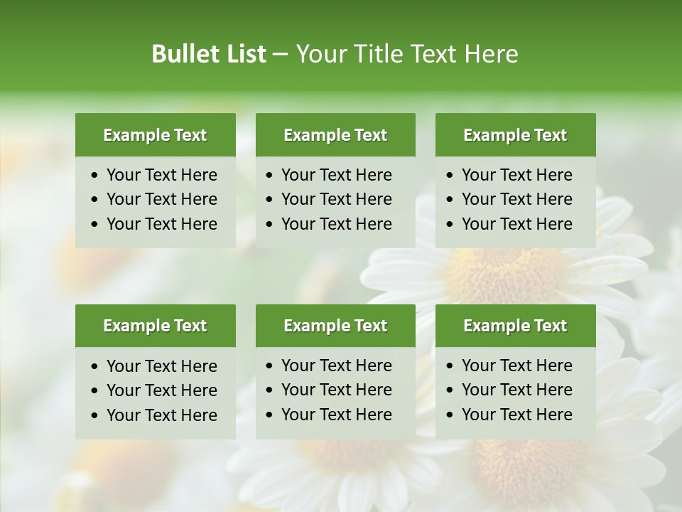 Wild Camomile Meadow PowerPoint Template