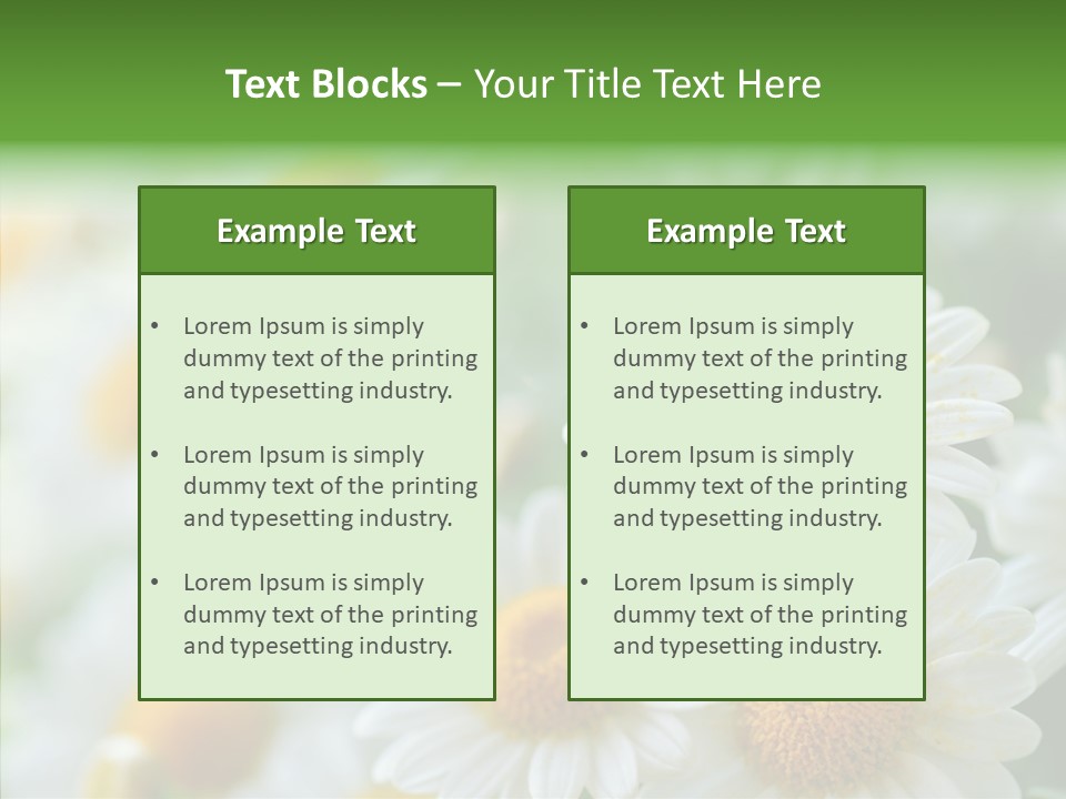 Wild Camomile Meadow PowerPoint Template