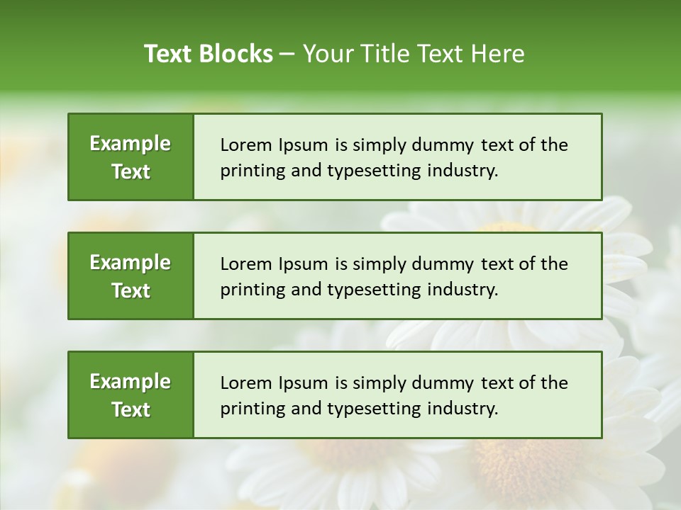 Wild Camomile Meadow PowerPoint Template