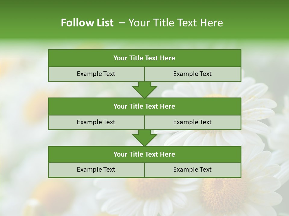 Wild Camomile Meadow PowerPoint Template