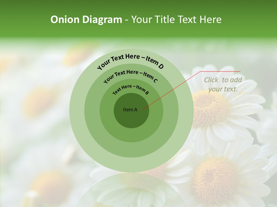 Wild Camomile Meadow PowerPoint Template