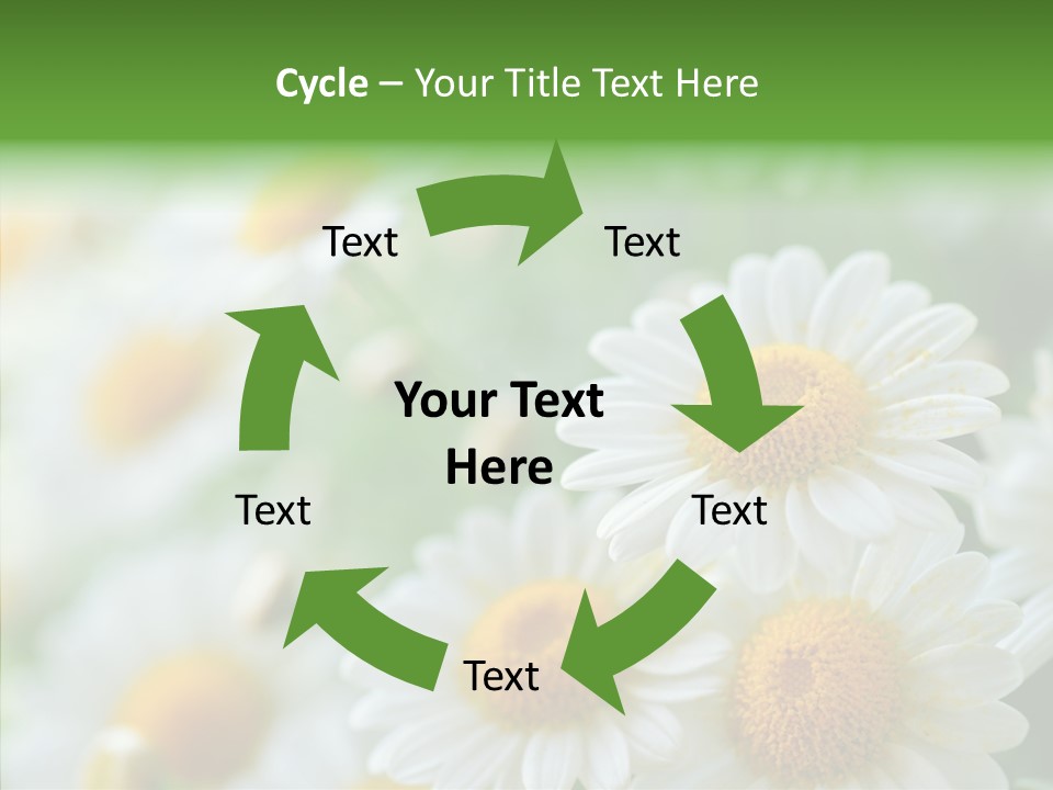 Wild Camomile Meadow PowerPoint Template