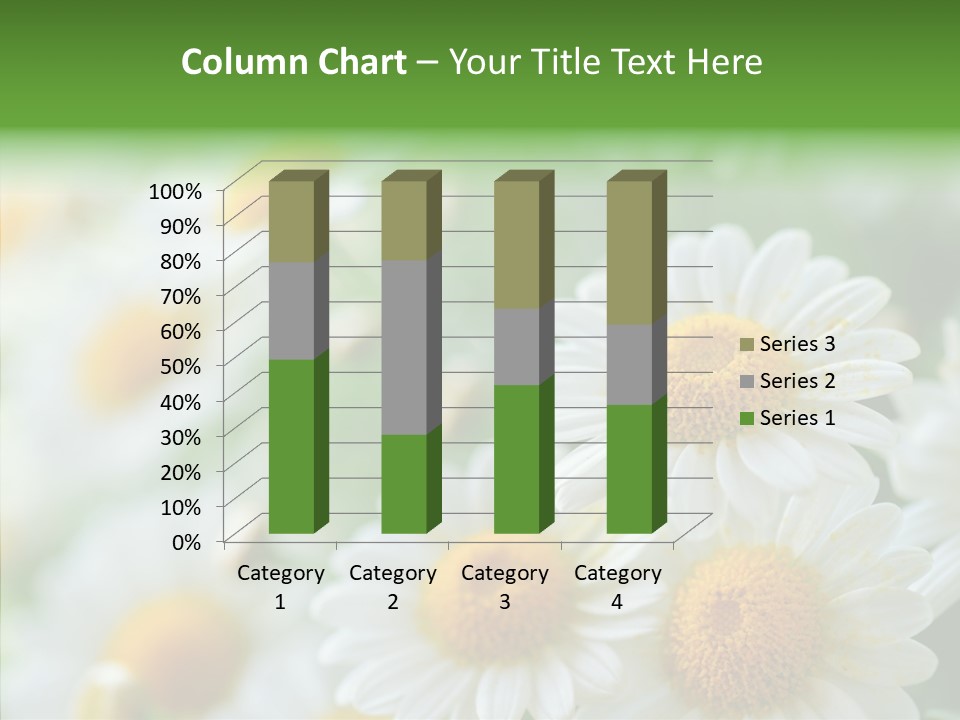 Wild Camomile Meadow PowerPoint Template
