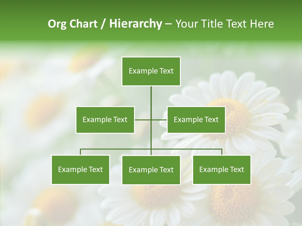 Wild Camomile Meadow PowerPoint Template