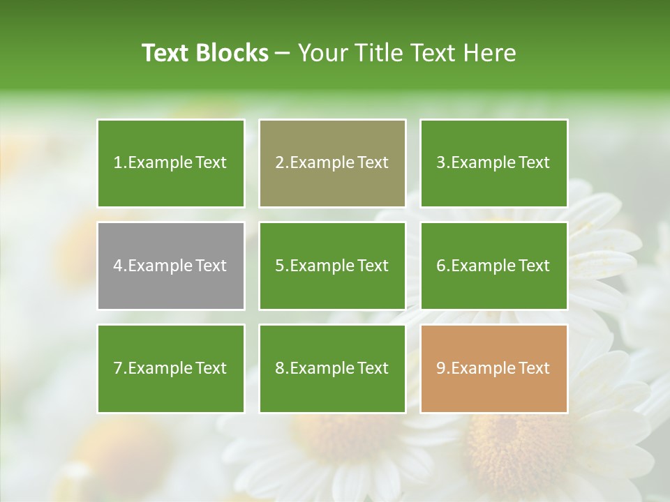 Wild Camomile Meadow PowerPoint Template