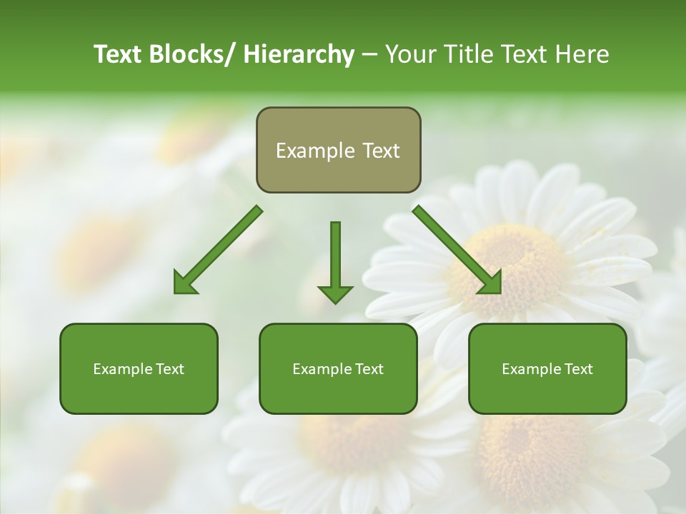 Wild Camomile Meadow PowerPoint Template