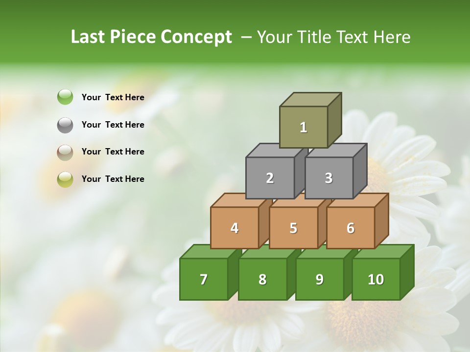 Wild Camomile Meadow PowerPoint Template