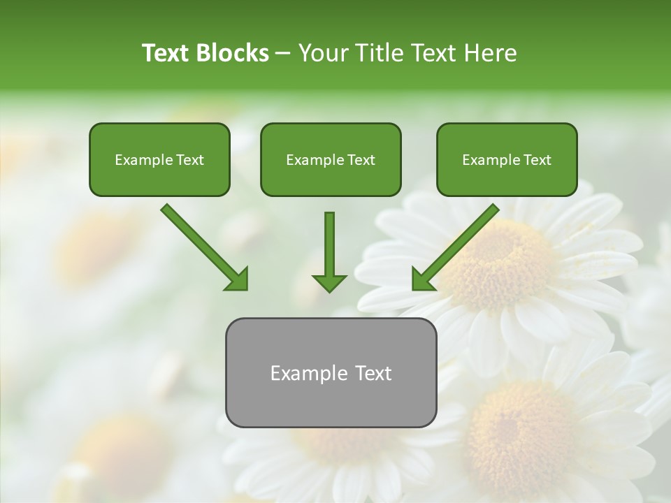 Wild Camomile Meadow PowerPoint Template