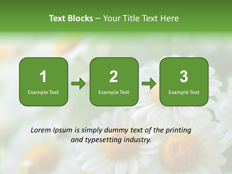 Wild Camomile Meadow PowerPoint Template