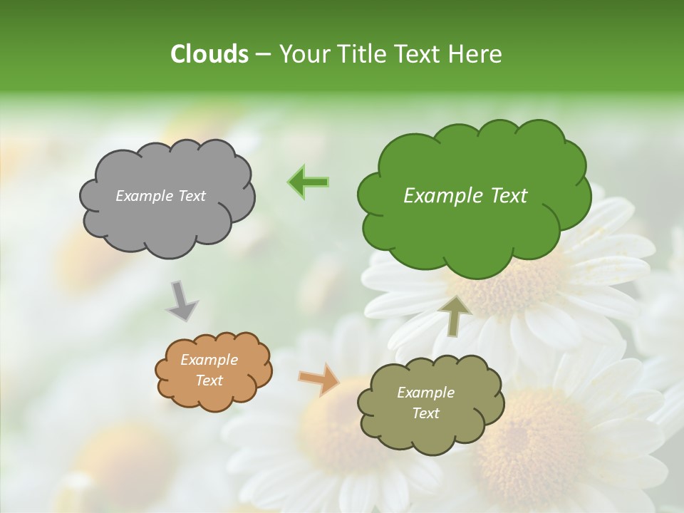 Wild Camomile Meadow PowerPoint Template