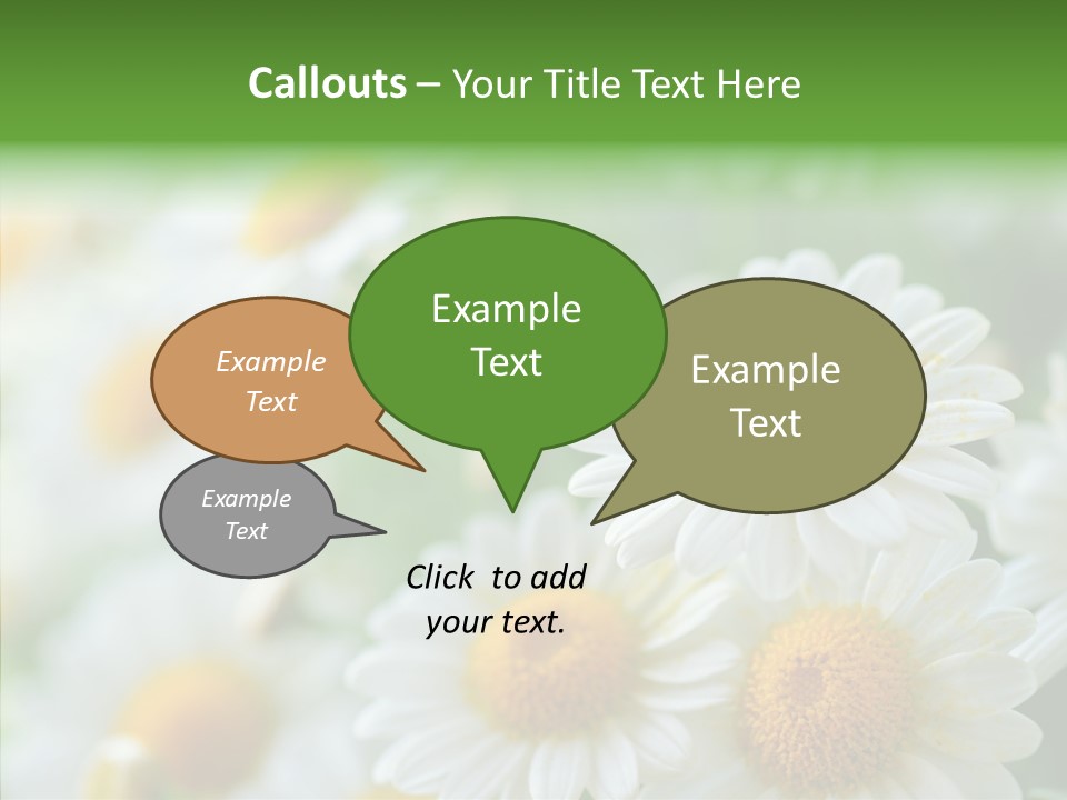 Wild Camomile Meadow PowerPoint Template