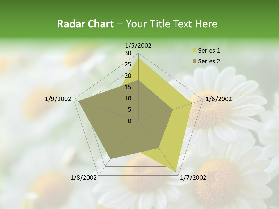 Wild Camomile Meadow PowerPoint Template