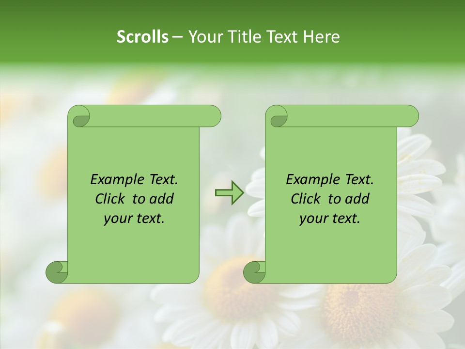 Wild Camomile Meadow PowerPoint Template