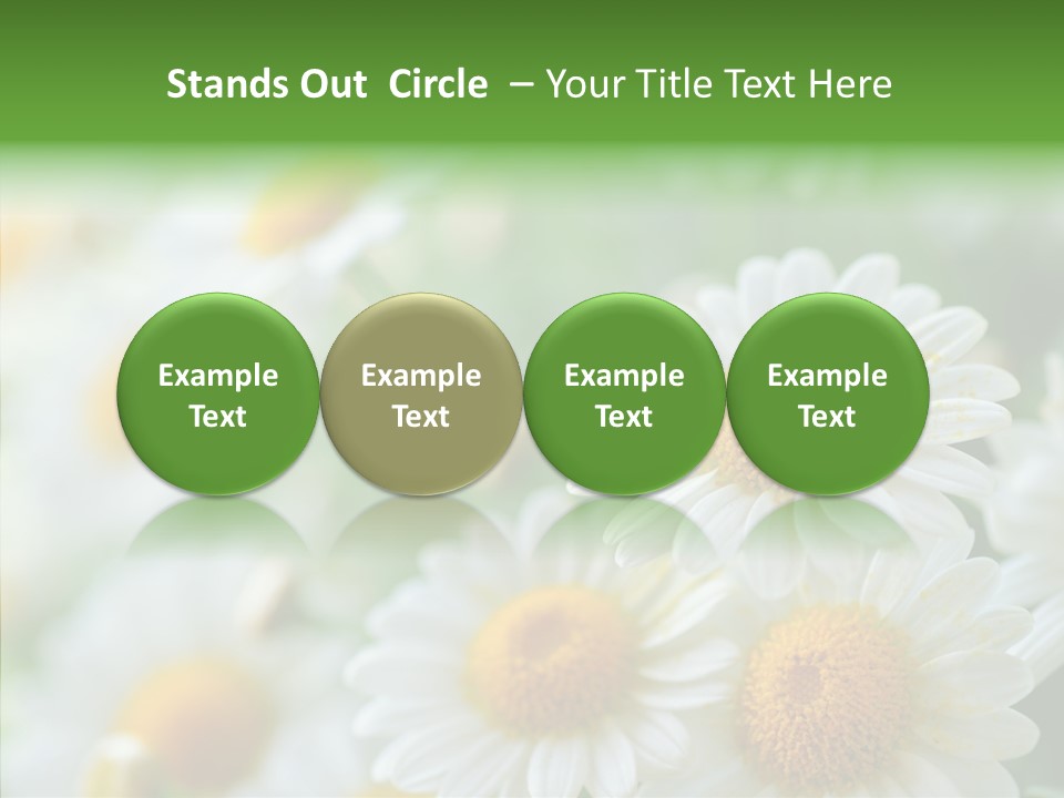Wild Camomile Meadow PowerPoint Template