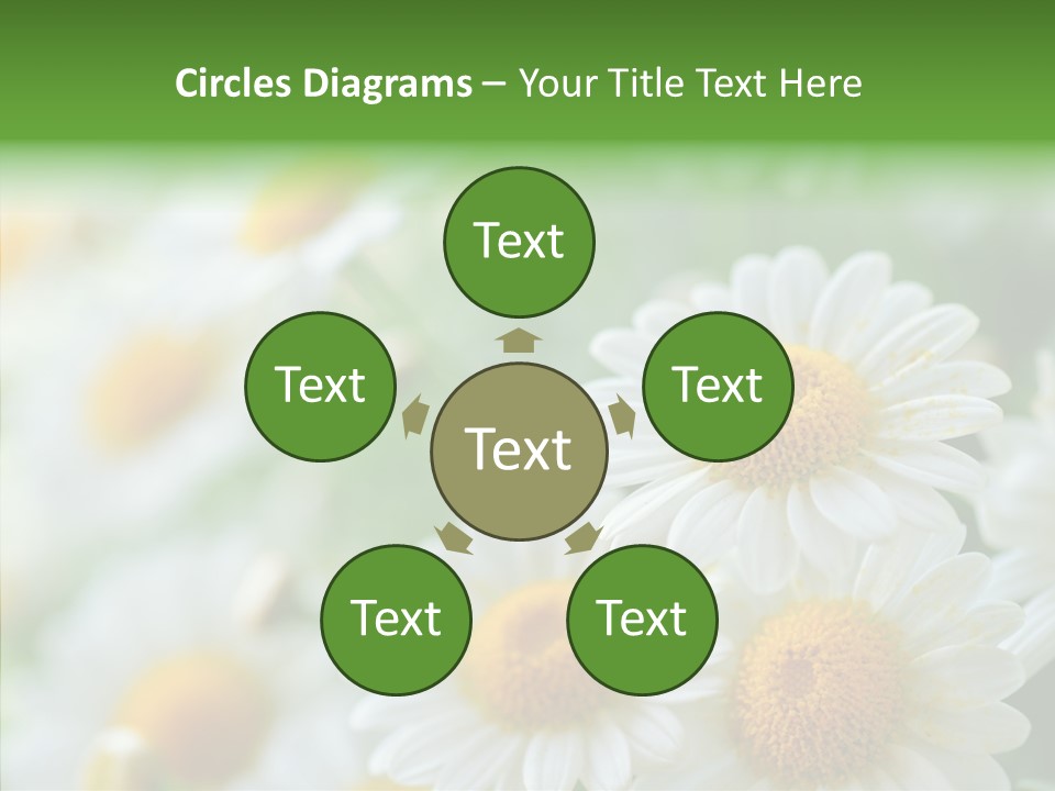 Wild Camomile Meadow PowerPoint Template